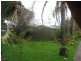 15 & 17 Nelson Street, South Plympton SA 5038