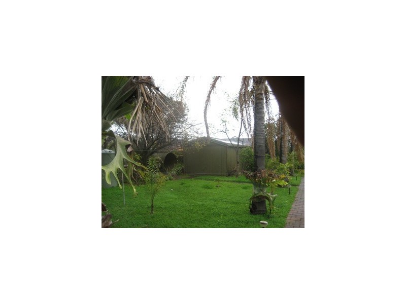 15 & 17 Nelson Street, South Plympton SA 5038