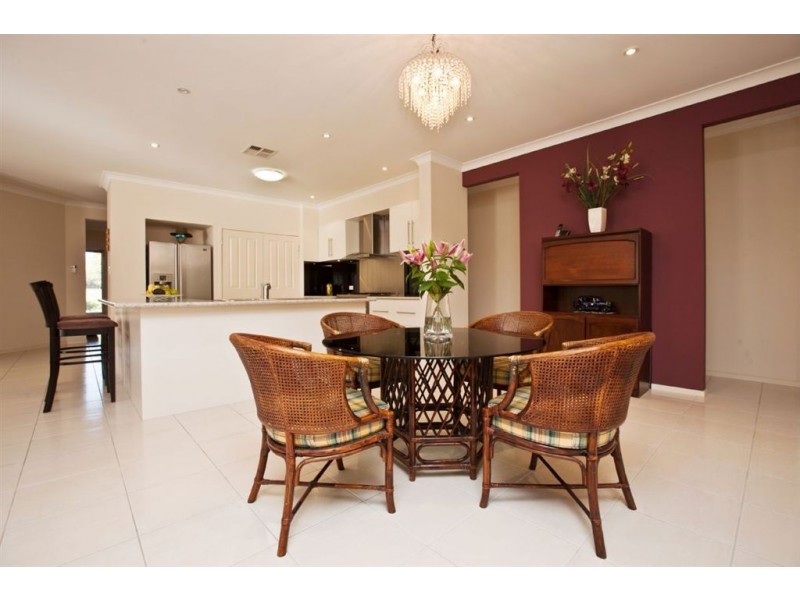 17 Mattner Avenue, Glenelg North SA 5045