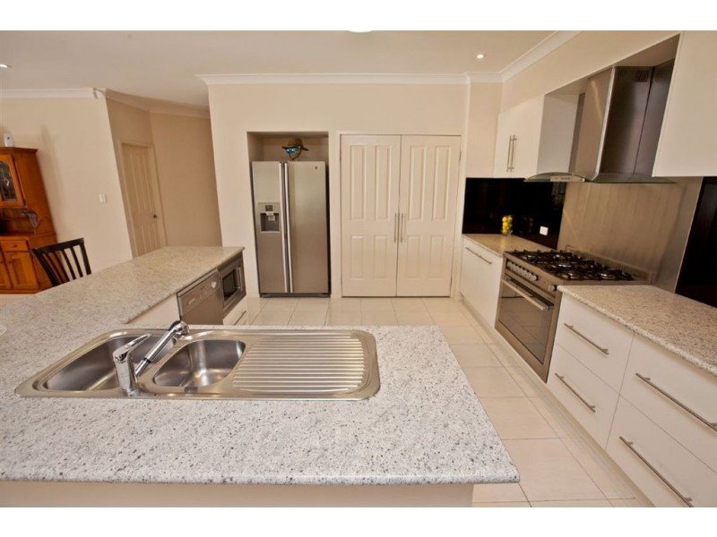 17 Mattner Avenue, Glenelg North SA 5045