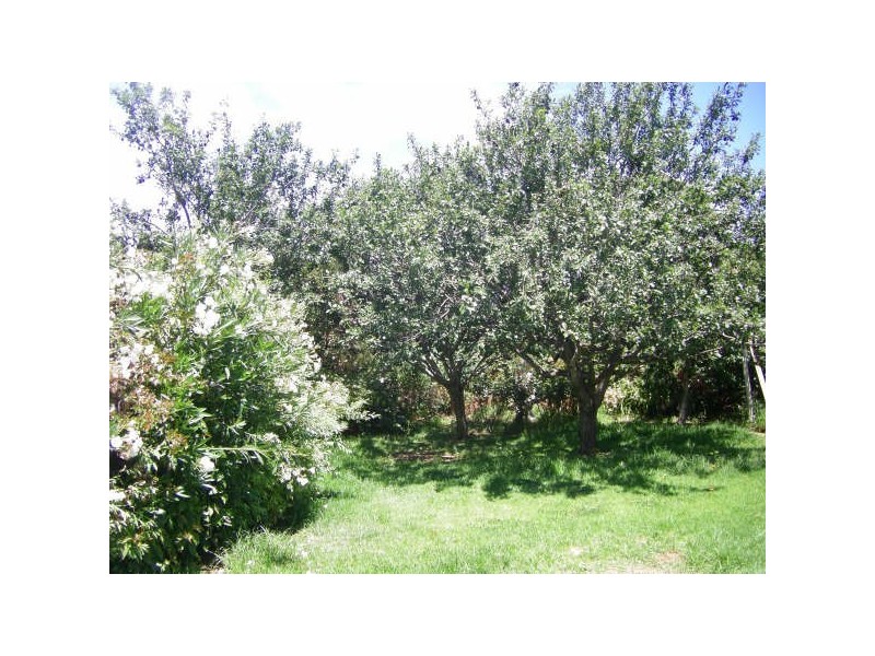 70 Selth Street, Albert Park SA 5014