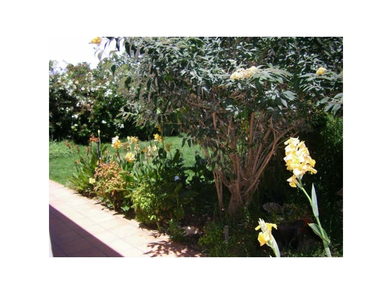 70 Selth Street, Albert Park SA 5014