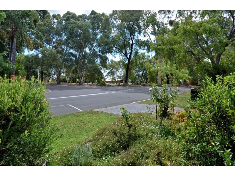 67 Fulham Park Drive, Lockleys SA 5032
