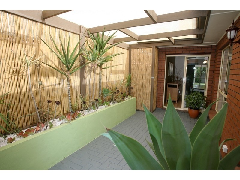 79 South Terrace, Plympton Park SA 5038