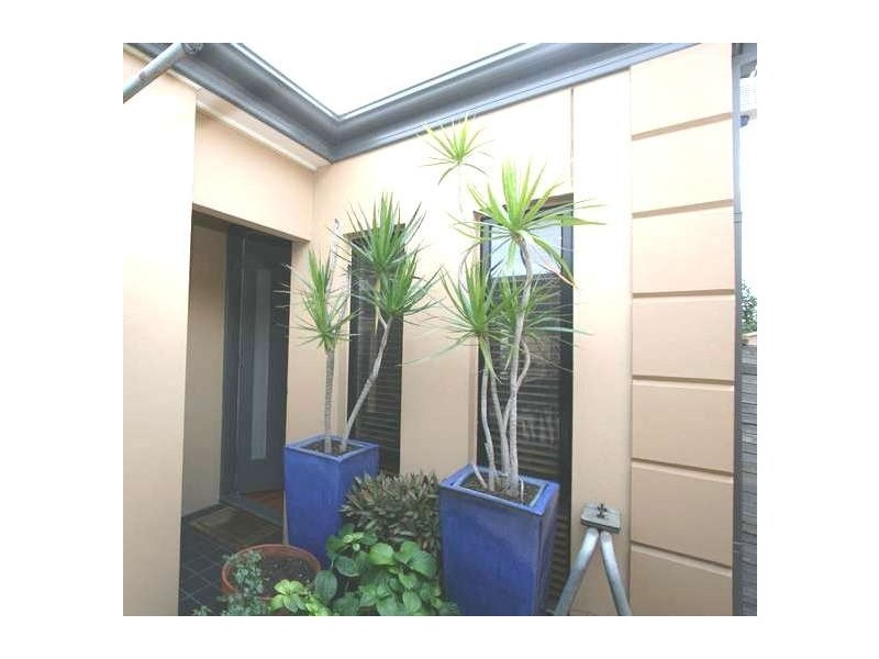 2/517 Anzac Highway, Glenelg North SA 5045