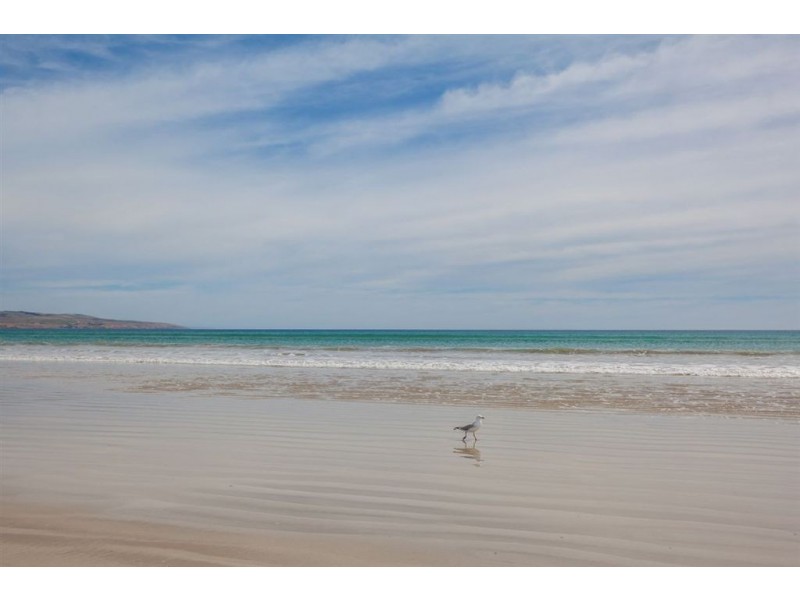 2/67 Wattle Street, Hove SA 5048