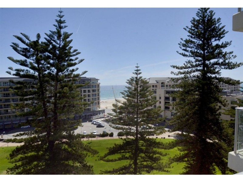 813/27 Colley Terrace, Glenelg SA 5045