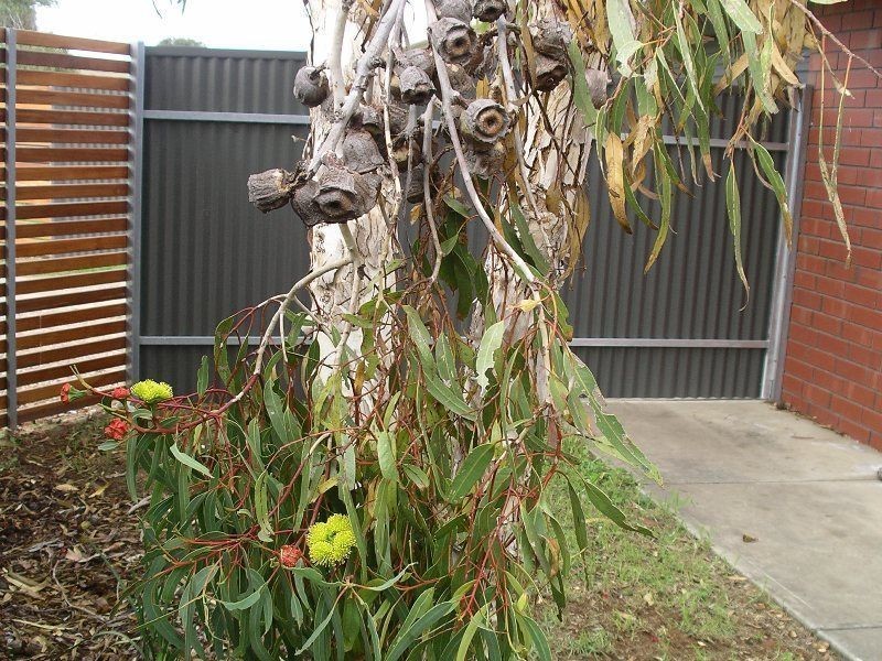 12/34 Noble Avenue, Goolwa North SA 5214