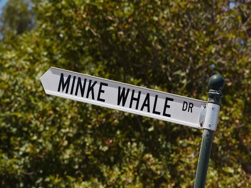 1 Minke Whale Drive, Encounter Bay SA 5211