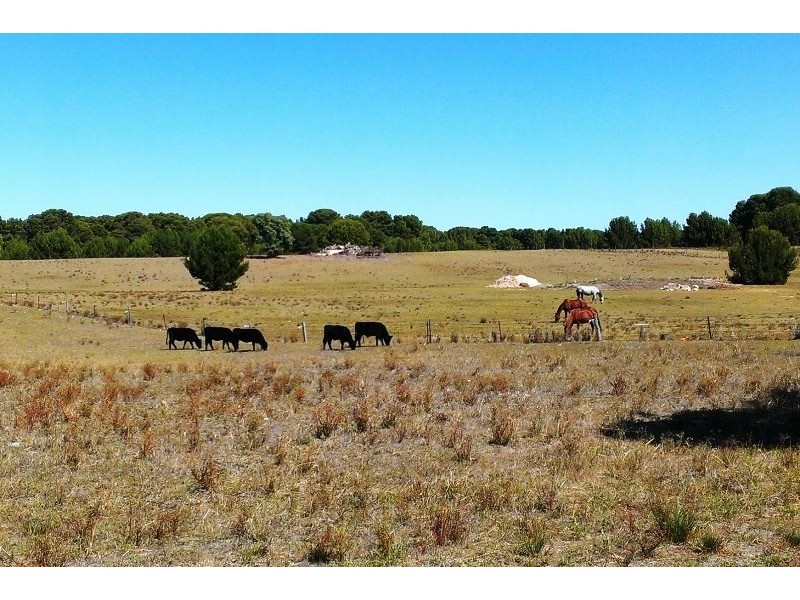 Lot 51 McBeath Street, Hindmarsh Island SA 5214