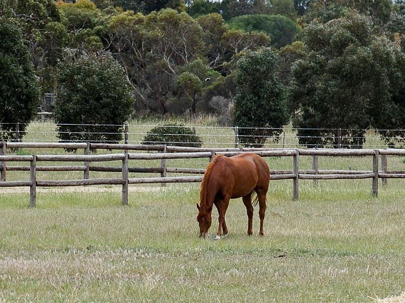44 Main Road, Finniss SA 5255