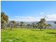 Lot 179 Crows Nest Road, Port Elliot SA 5212