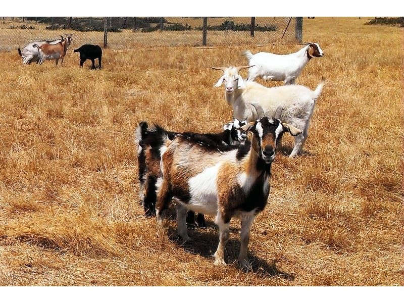 Lot 2 Mill Road, Milang SA 5256