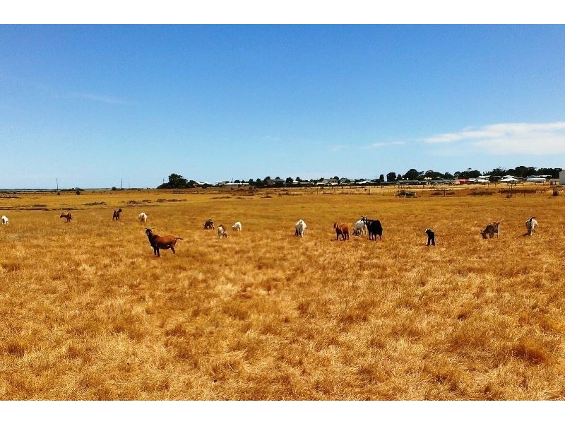 Lot 2 Mill Road, Milang SA 5256