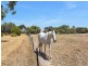 Lot 100 Currency Creek Road, Goolwa North SA 5214