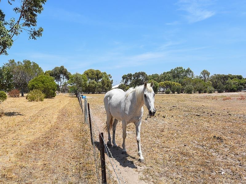 Lot 100 Currency Creek Road, Goolwa North SA 5214