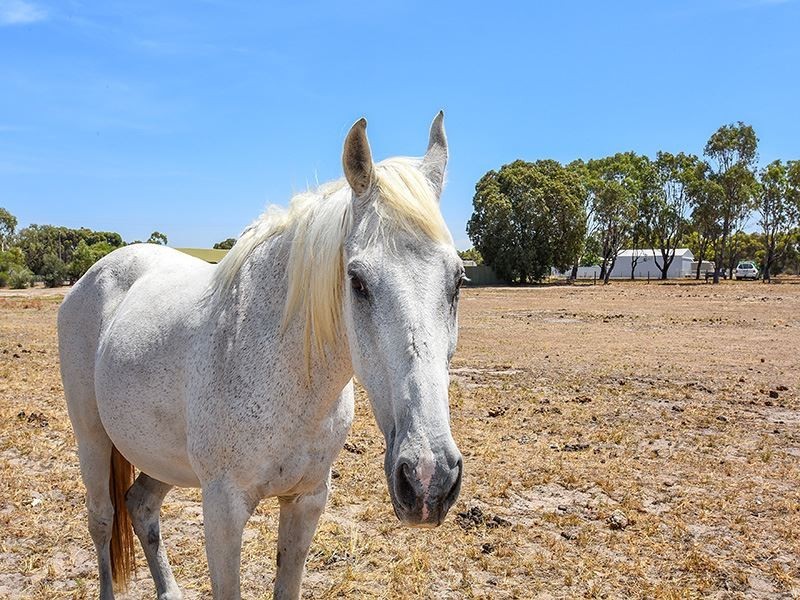 Lot 100 Currency Creek Road, Goolwa North SA 5214