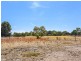 Lot 100 Currency Creek Road, Goolwa North SA 5214