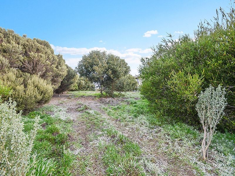 35 Newell Avenue, Middleton SA 5213