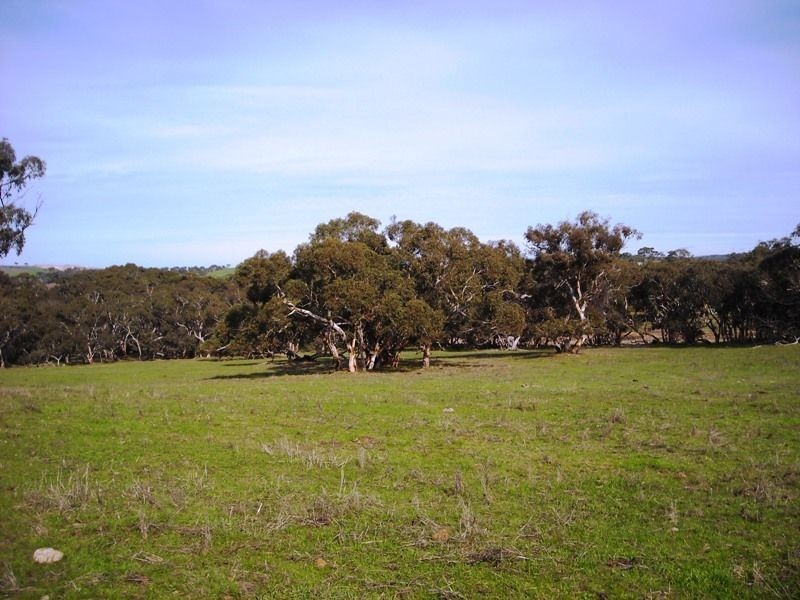 Sec 2052 Gould Road, Currency Creek SA 5214