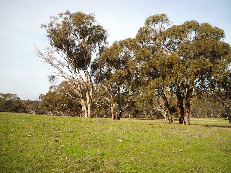 Sec 2052 Gould Road, Currency Creek SA 5214