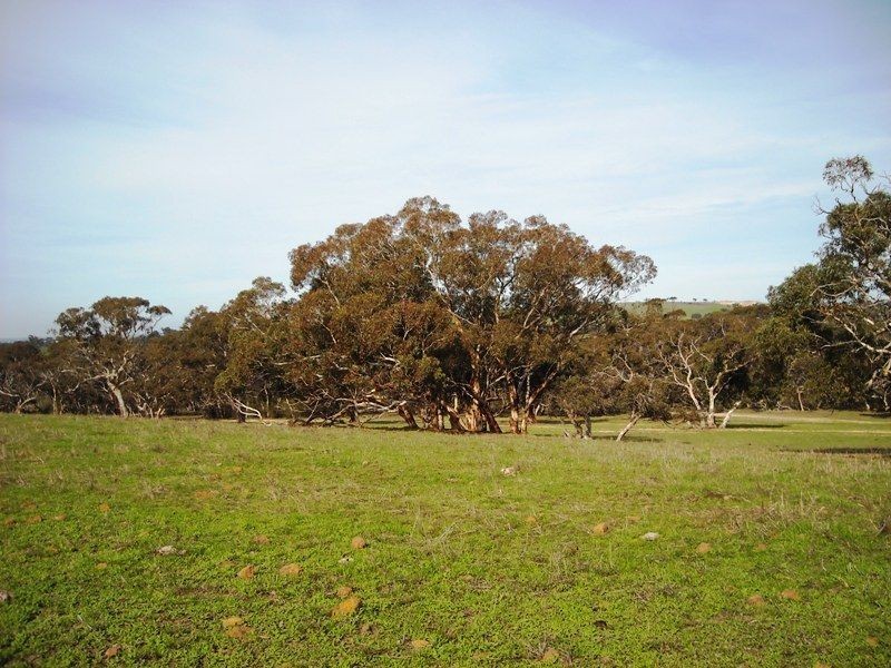 Sec 2052 Gould Road, Currency Creek SA 5214