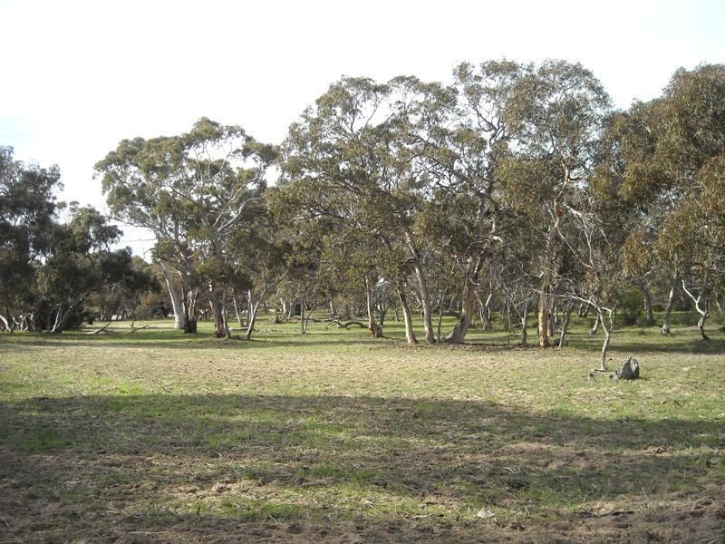 Sec 2052 Gould Road, Currency Creek SA 5214