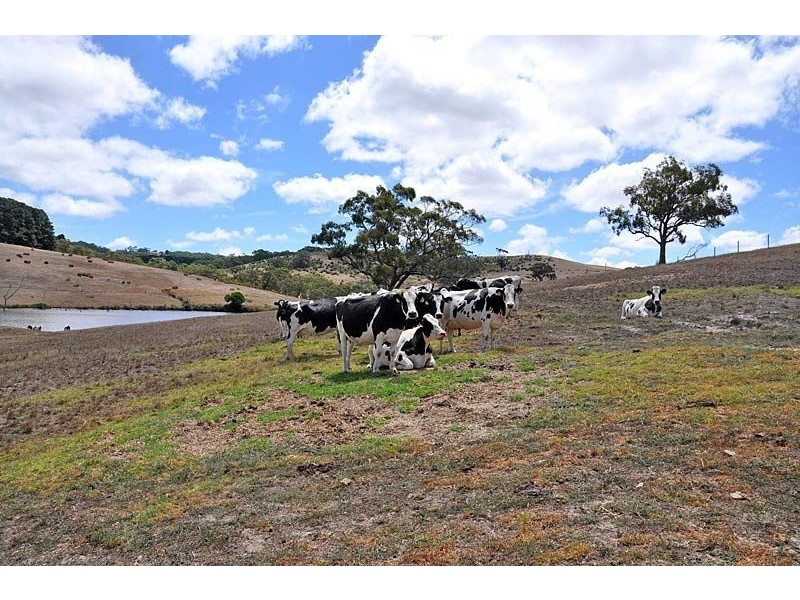 Lots 61&62 Leane Road, Mount Jagged SA 5211