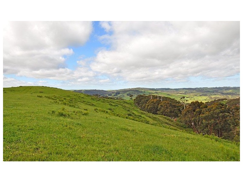 1095 Hindmarsh Tiers Road, Hindmarsh Valley SA 5211