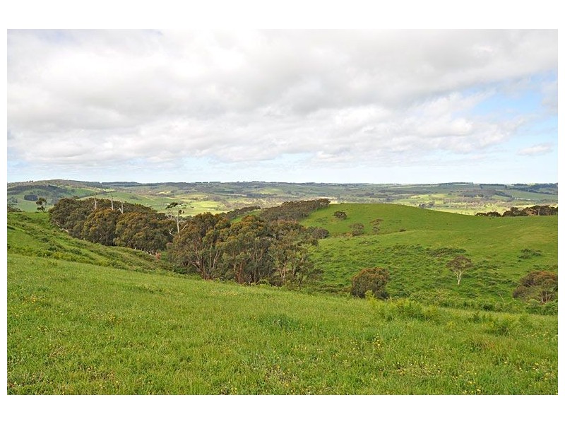 1095 Hindmarsh Tiers Road, Hindmarsh Valley SA 5211
