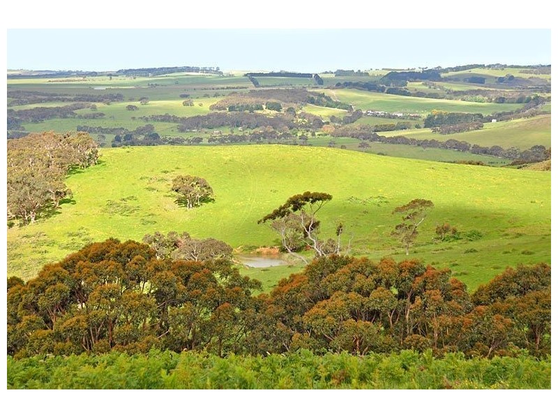 1095 Hindmarsh Tiers Road, Hindmarsh Valley SA 5211