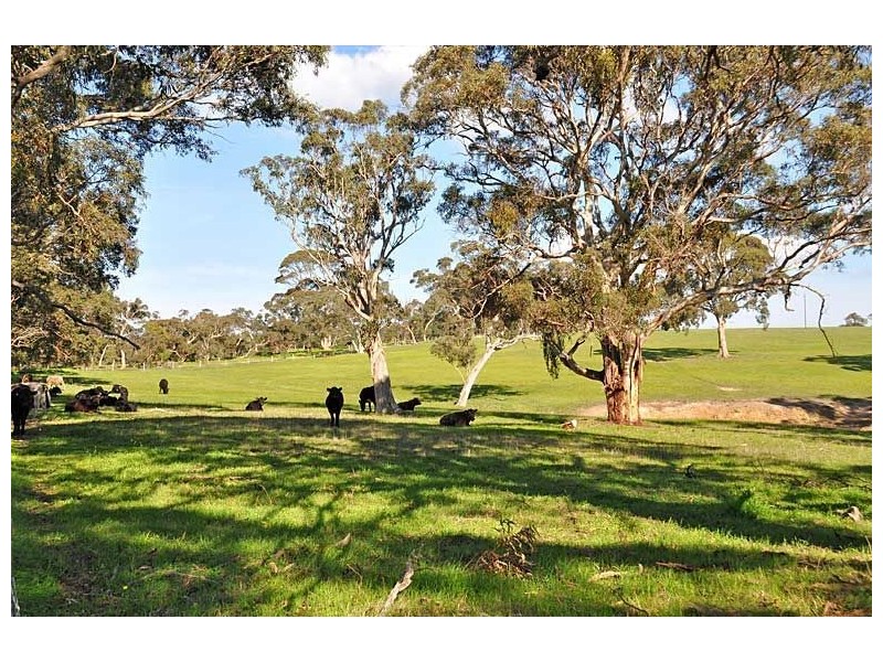 70 Prouse Road, Inman Valley SA 5211