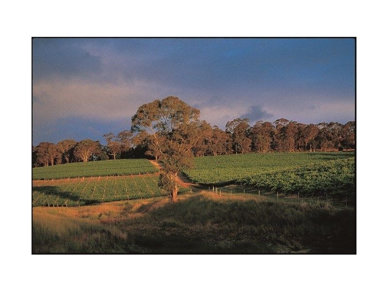 Sec 305 Brooks Road, Clarendon SA 5157