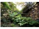 Lot 202 Brooks Road, Clarendon SA 5157