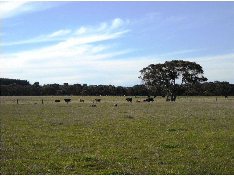 221 Blockers Road, Waitpinga SA 5211