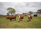 Lot 6 Mayfield Road, Inman Valley SA 5211