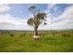 Lot 6 Mayfield Road, Inman Valley SA 5211