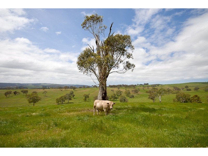 Lot 6 Mayfield Road, Inman Valley SA 5211