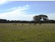 221 Blockers Road, Waitpinga SA 5211