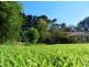 1136 James Track, Myponga SA 5202