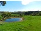 1136 James Track, Myponga SA 5202