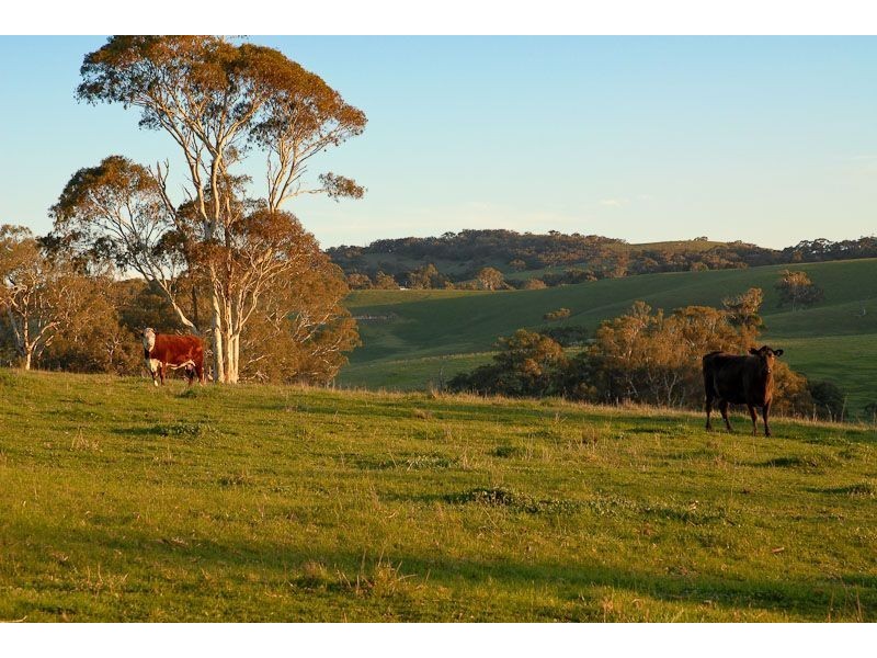 Lot 5 Mayfield Road, Inman Valley SA 5211