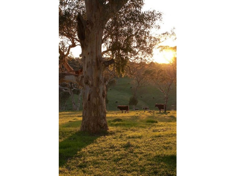 Lot 5 Mayfield Road, Inman Valley SA 5211