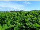 Lot 201 James Track, Myponga SA 5202