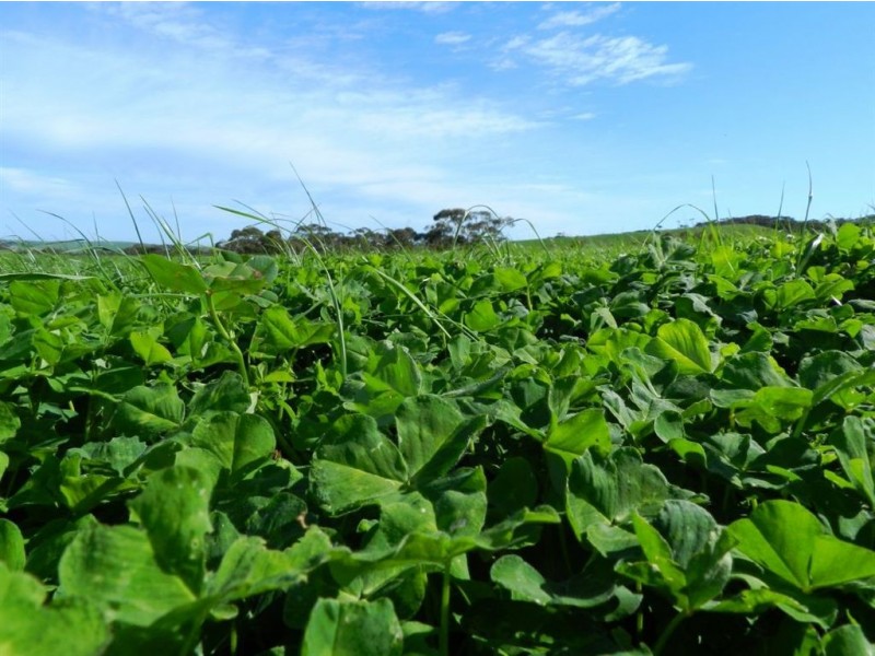 Lot 201 James Track, Myponga SA 5202
