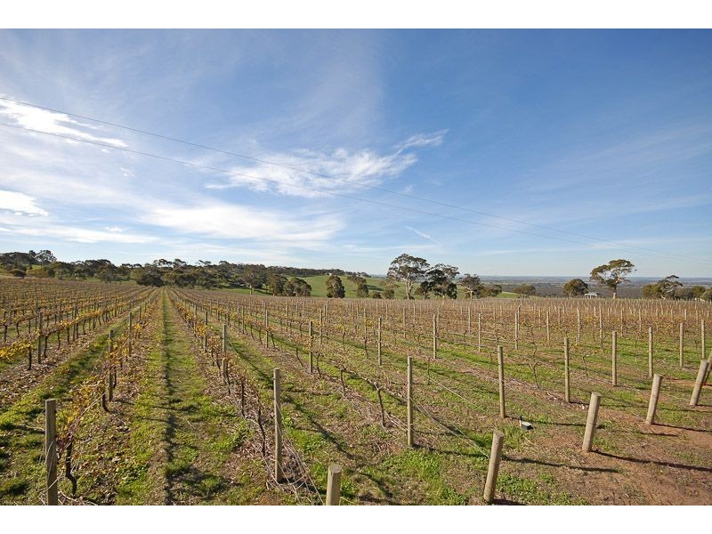 225B Trig Point Road, Mosquito Hill SA 5214