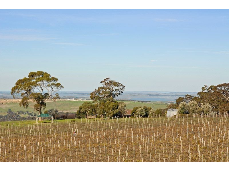 225B Trig Point Road, Mosquito Hill SA 5214