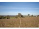 225B Trig Point Road, Mosquito Hill SA 5214