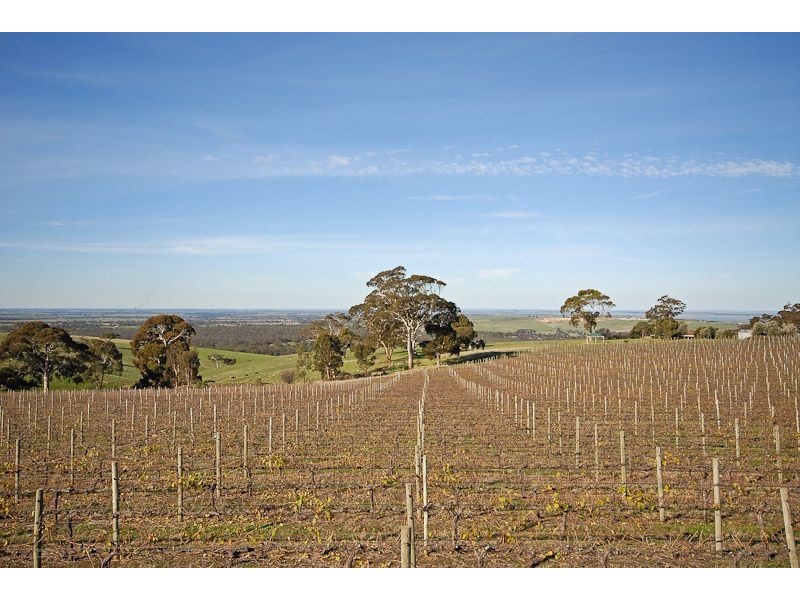 225B Trig Point Road, Mosquito Hill SA 5214