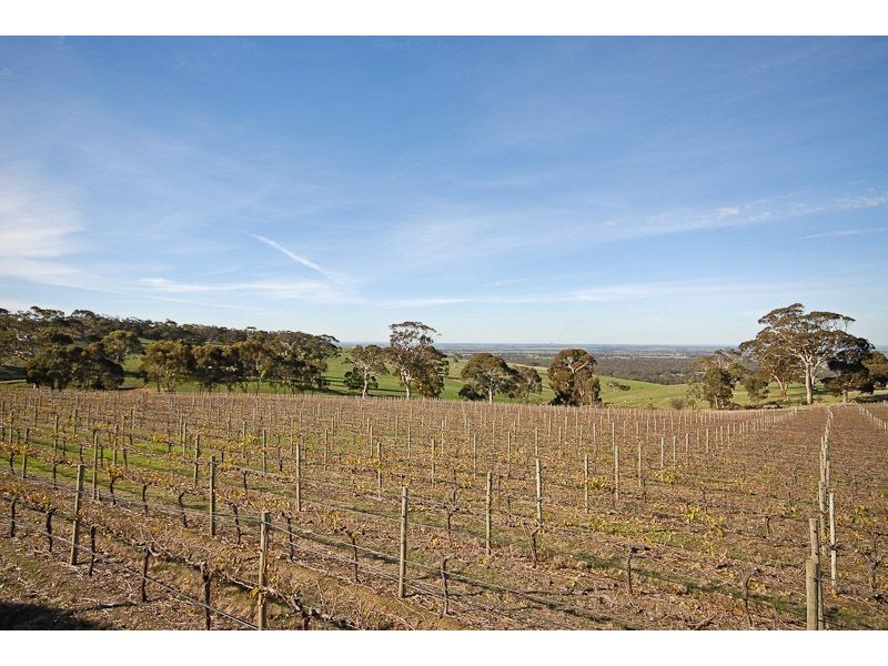 225B Trig Point Road, Mosquito Hill SA 5214